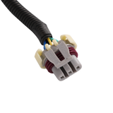 JDMSPEED Ls Standalone Wiring Harness For 6L80E/6L90E 58X DRIVE BY WIRE DBW